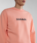 Sweatshirt Box  - 4