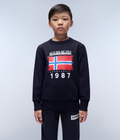 Mats Sweatshirt (4-16 YEARS)  - 2