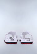 Flip-Flops Elm  - 2