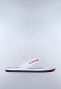 Flip-Flops Elm  - 1