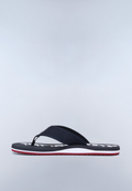 Flip-Flops Elm  - 4