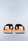 Flip-Flops Elm  - 3