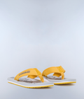 Flip-Flops Elm  - 6